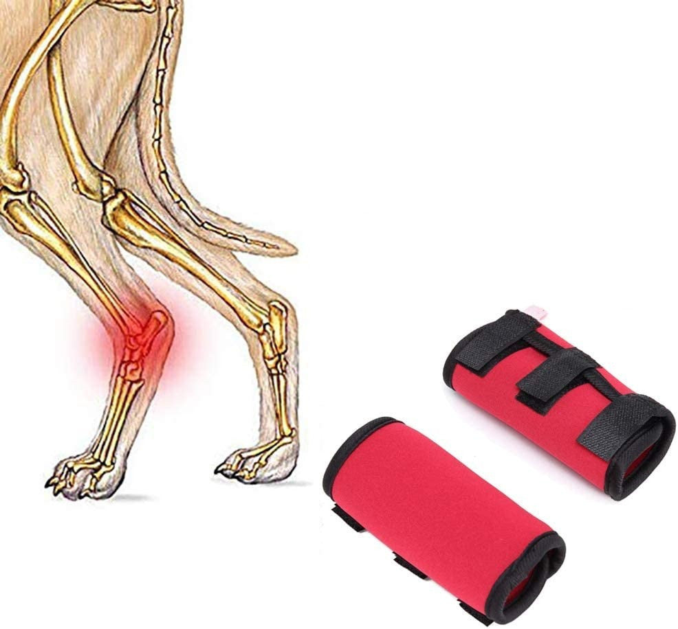 Pet Neoprene Dog Knee Protective Gear